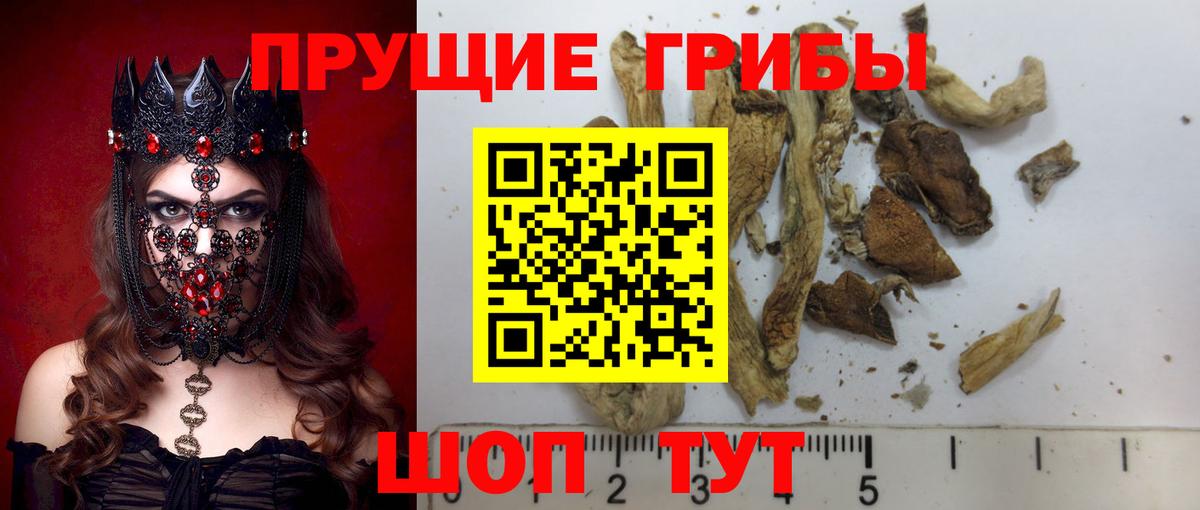 Псилоцибиновые грибы ЛСД Стрежевой