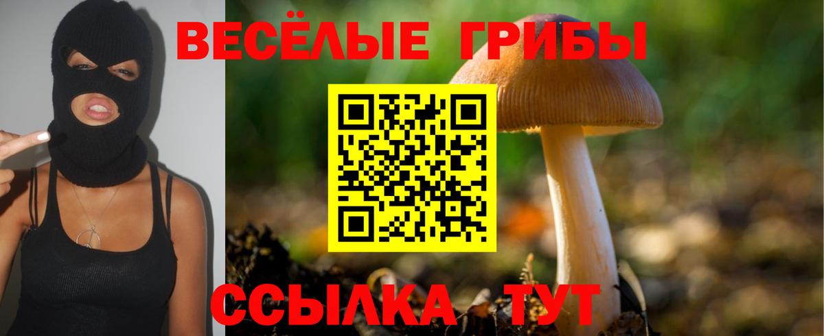 Псилоцибиновые грибы Psilocybine cubensis  Вход с VPN  Стрежевой 