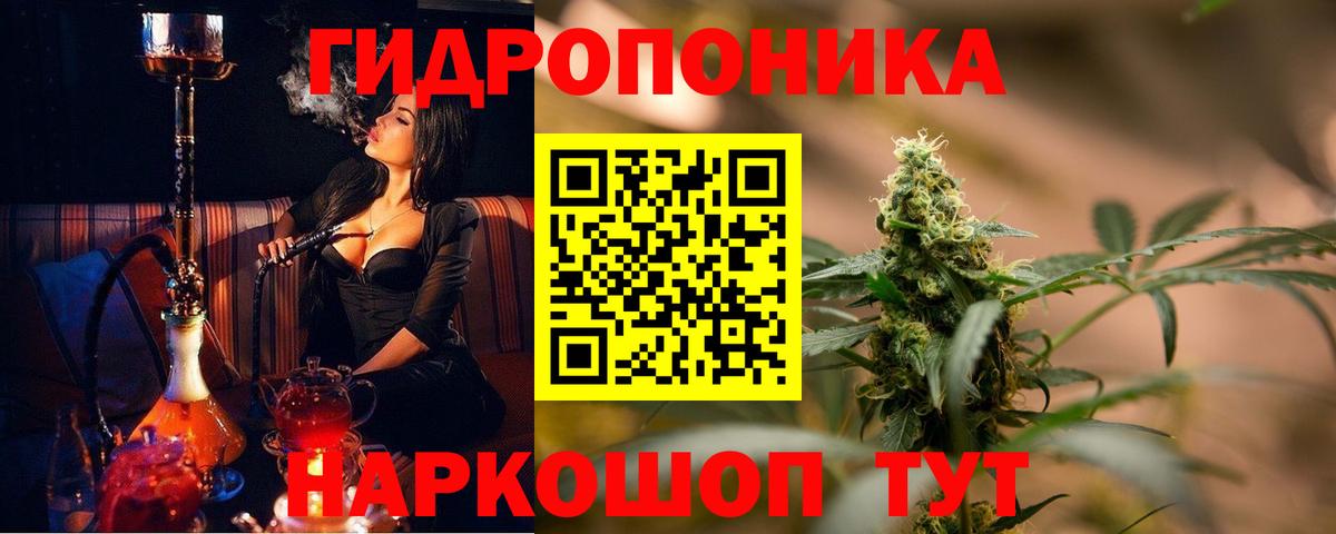 Бошки Шишки конопля Стрежевой